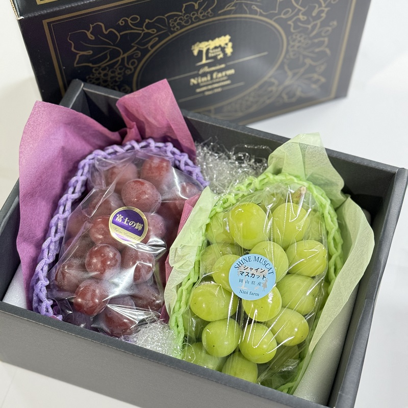 ぶどう 2026年 先行予約 ぶどう 話題の品種 富士の輝＆こだわりのシャインマスカット 贈答ランク 合計約1.4kg ブドウ 葡萄 岡山県産 国産 フルーツ 果物 ギフト 【 Nini farm 農家 直送 】
