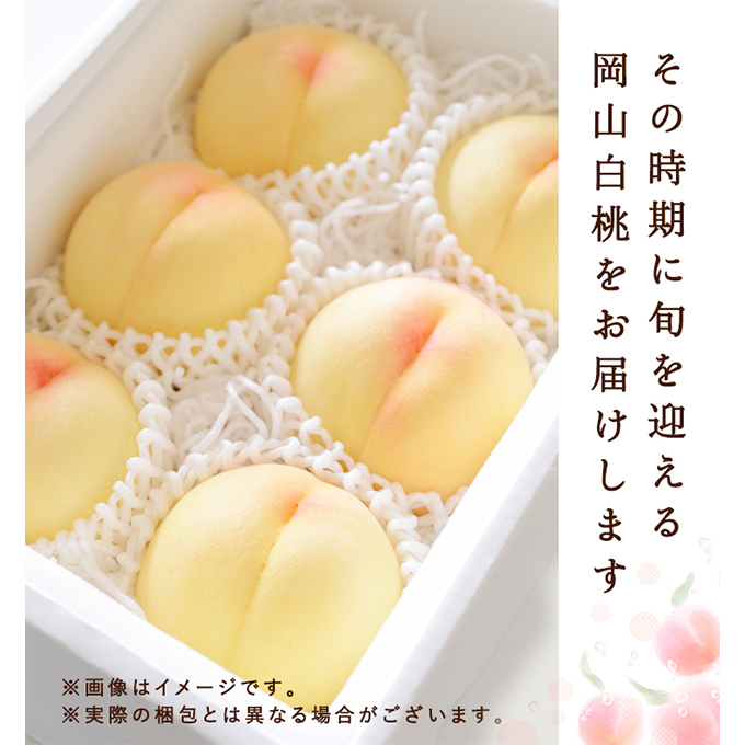 桃 2026年 先行予約 白桃 6玉 (1.5kg以上) 等級：ロイヤル 化粧箱入り もも モモ 岡山県産 国産 フルーツ 果物 セット ギフト