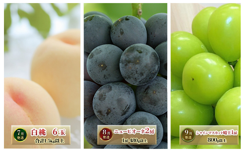 フルーツ 定期便 2026年 先行予約 晴れの国 岡山 の 定期フルーツ定期便 3回コース桃 もも 葡萄 ブドウ 岡山県産 国産 セット ギフト