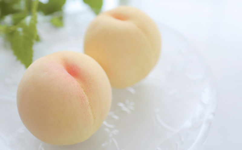 フルーツ 定期便 2026年 先行予約 晴れの国 岡山 の 定期フルーツ定期便 3回コース桃 もも 葡萄 ブドウ 岡山県産 国産 セット ギフト