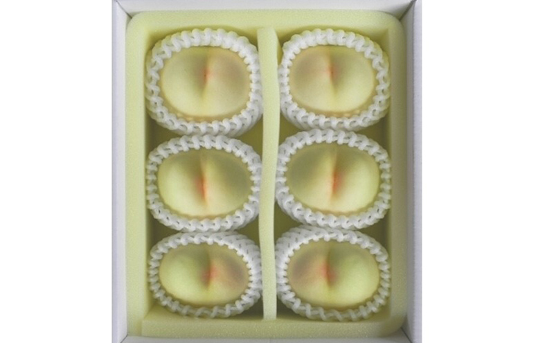 桃 2026年 先行予約 岡山白桃 6玉（1玉330g以上）等級：ロイヤル 木箱入り もも モモ 岡山県産 国産 フルーツ 果物 セット ギフト