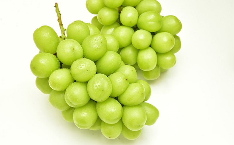 ぶどう 【2026年 先行予約】 ニュー ピオーネ 4房と シャインマスカット 2房(合計3.4kg以上) マスカット ブドウ 葡萄　岡山県産 国産 フルーツ 果物 ギフト