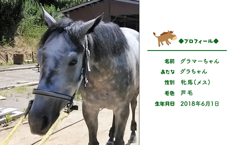 張子の馬 トントントントロ＆グラマー 4頭 セット 馬 うま 置物 インテリア 張子 張り子 干支 手造り オリジナル