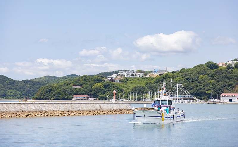 ちりめんの旨みをずっと感じられるふりかけ ちり旨ふりかけ 味ゴマひじき 3個セット【ちりめん ちりめんじゃこ あみえび アミエビ 牛窓ちりめん ごま ふりかけ カリカリ おにぎり 混ぜご飯 ご飯のお供 岡山 瀬戸内市 牛窓 服部水産 】