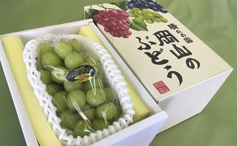 ぶどう 2026年 先行予約 シャインマスカット 晴王 1房 700g以上 ブドウ 葡萄 岡山県産 国産 フルーツ 果物 ギフト