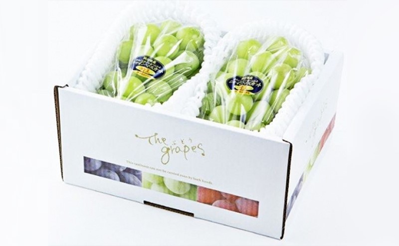 ぶどう 2026年 先行予約 シャインマスカット 晴王 2房 合計1.2kg以上 ブドウ 葡萄 岡山県産 国産 フルーツ 果物 ギフト