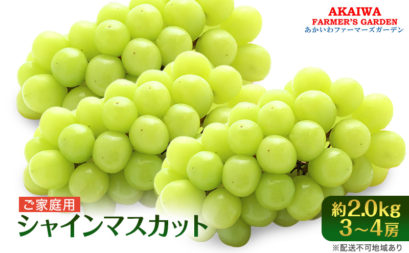 ぶどう 2025年 先行予約 ご家庭用 シャインマスカット 約2.0kg 3～4房 葡萄 フルーツ 果物 岡山 赤磐市産 あかいわファーマーズガーデン