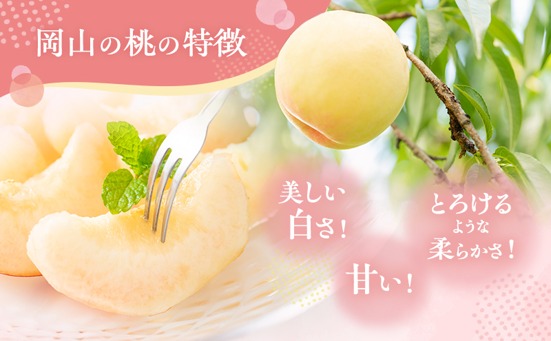 桃 2026年 先行予約 清水 白桃 約2kg 5～7玉 贈答用 もも モモ フルーツ 果物 岡山 赤磐市産 農マル園芸 あかいわ農園