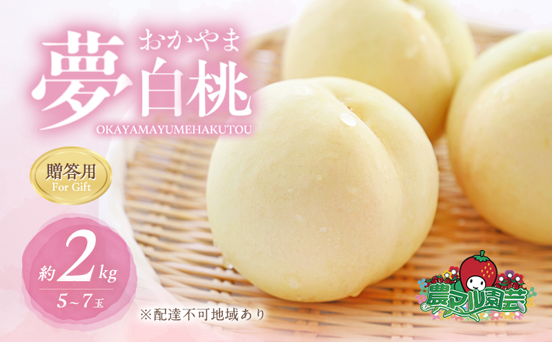 桃 2026年 先行予約 おかやま 夢 白桃 約2kg 5～7玉 贈答用 もも モモ フルーツ 果物 岡山 赤磐市産 農マル園芸 あかいわ農園