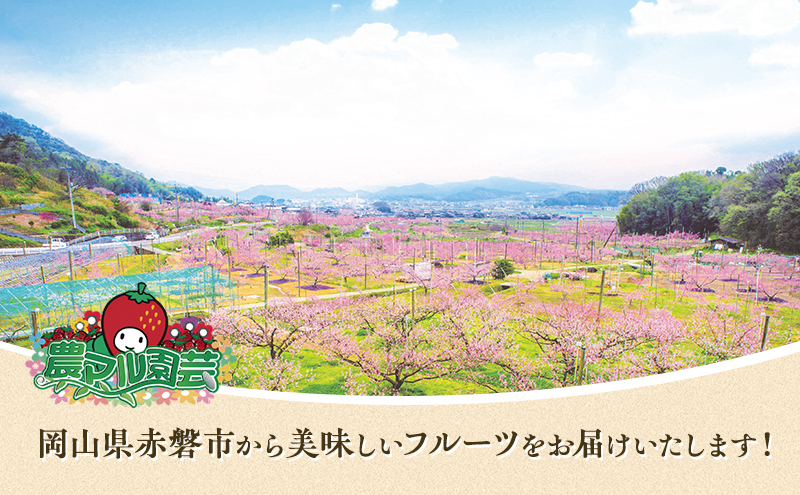 桃 2025年 先行予約 晩生の旬の 黄桃 約1.8kg 5～7玉 進物用 もも フルーツ 果物 岡山 赤磐市産 農マル園芸あかいわ農園 2025年 先行予約