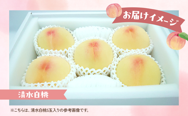 桃 2026年 数量限定 清水白桃 3玉 計1.0kg以上 岡山県 赤磐市産