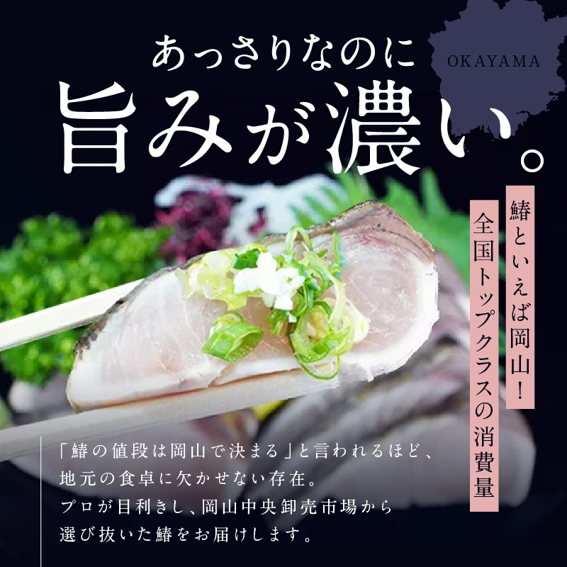 歳末感謝 キャンペーン 数量限定 鮭のたたき付き【 すえひら 】定期便 2ヵ月 岡山 名物 - さわらのたたき ( 鰆のたたき ) 5人前 セット 2回 定期便 鰆 たたき さわら サワラ 魚介類 和食 冷蔵 魚料理 一品料理 つまみ お酒のあて 肴