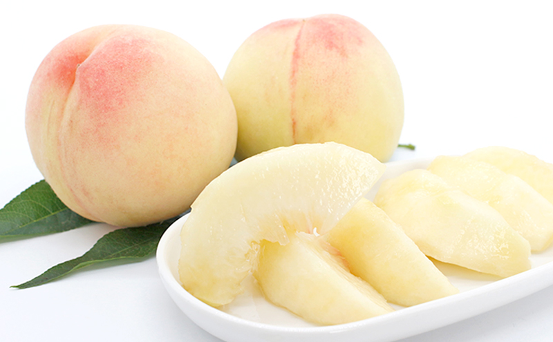 桃 2026年 数量限定 白鳳 3玉 計1.0kg以上 岡山県 赤磐市産