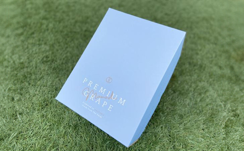 ぶどう 2026年 先行予約 贈答用 特大 シャインマスカット 1房(約900g) ブドウ 葡萄 岡山県 赤磐市産 フルーツ 果物 ギフト