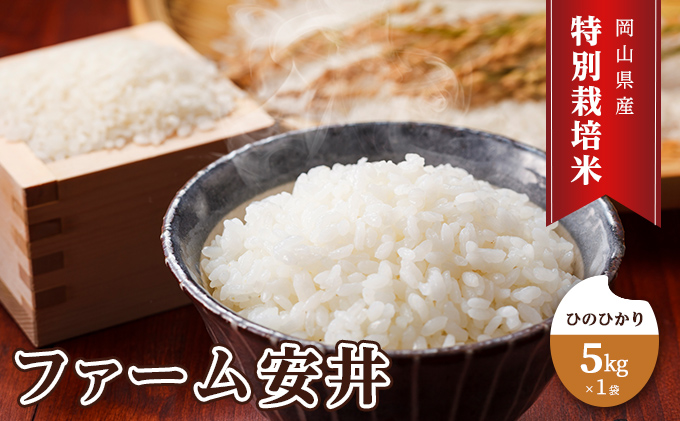 楽天市場】もち米 10kgの通販