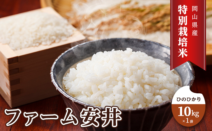 お米 【2025年11月～発送予定】 特別栽培米 ひのひかり 10kg×1袋