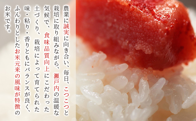 コシヒカリ 令和6年産 5kg 特A地区 特別栽培米 新潟産 JAえ