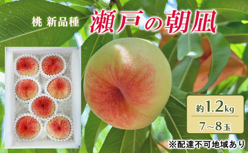 ☆朗報☆岡山県産ヤマモモ本日収穫6月２０日中粒２キロ プレゼント小粒300グラム 岡山のもも 6個入 | WESTERモール