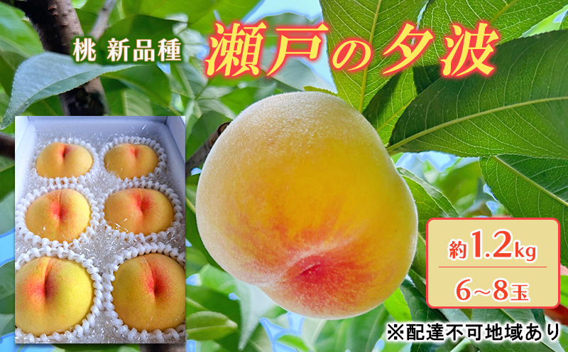 桃 果物 山梨県 2ケース らいなす 桃 2025年 先行予約 瀬戸の夕波 KU-PP2 約1.2kg 6～8玉 新品種