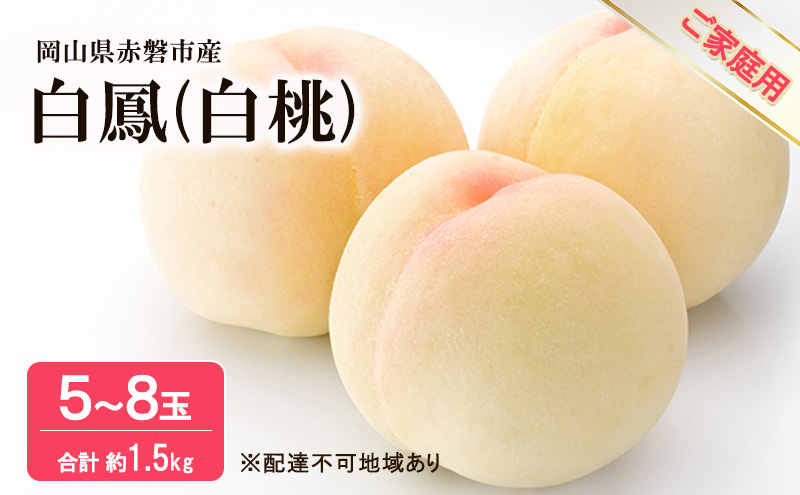 桃 2025年 先行予約 白桃 白鳳 約1.5kg 5~8玉 ご家庭用 桃 2025年 先行予約 白桃 白鳳 約1.5kg 5~8玉 ご家庭用