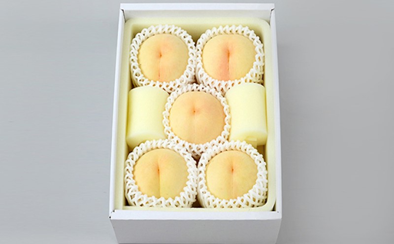 桃 2026年 先行予約 ご家庭用 白桃（晩生種）5～6玉 合計約1.5kg もも モモ 岡山県産 国産 フルーツ 果物 ギフト