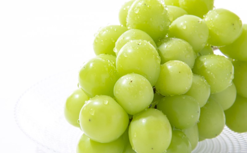 フルーツ 2026年 岡山のフルーツ 食べ切り 定期便 白桃 3玉 合計約800g／シャイン マスカット 1房 約500g もも 葡萄 ブドウ 岡山県産 フルーツ シャインマスカット 桃 果物 旬 定期便