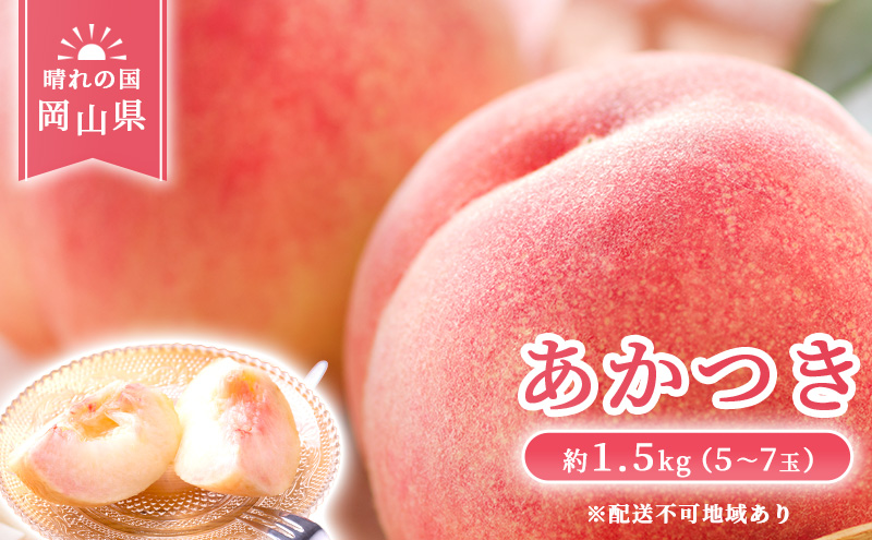 ☆朗報☆サマーセール開催☆岡山県産ヤマモモ本日収穫 6月２０日大粒１.３キロ ☆朗報☆岡山県産ヤマモモ本日収穫6月20日中粒2