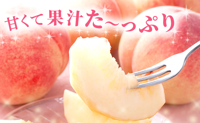 2025年先行予約】 桃 岡山県産 あかつき 約1.5kg(5～7玉) 《2025