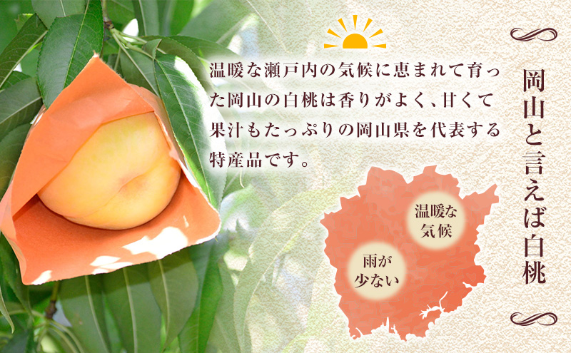 2025年先行予約】 桃 岡山県産 あかつき 約1.5kg(5～7玉) 《2025