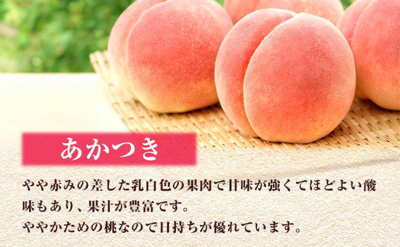 本日朝収穫、岡山県産ヤマモモ(山桃)１キロとおまけ付き お徳用おかやまの桃 約1.3kg（5～6玉）【7月上旬～8月中旬発送
