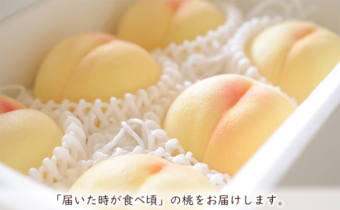 【 2026年 先行予約】 桃 岡山県産 清水 白桃 約1.2kg(4～5玉) 《2026年7月中旬-8月上旬頃出荷》 白桃 岡山 はくとう スイーツ フルーツ 果物 先行予約 数量限定 期間限定 岡山 里庄町 モモ もも 桃