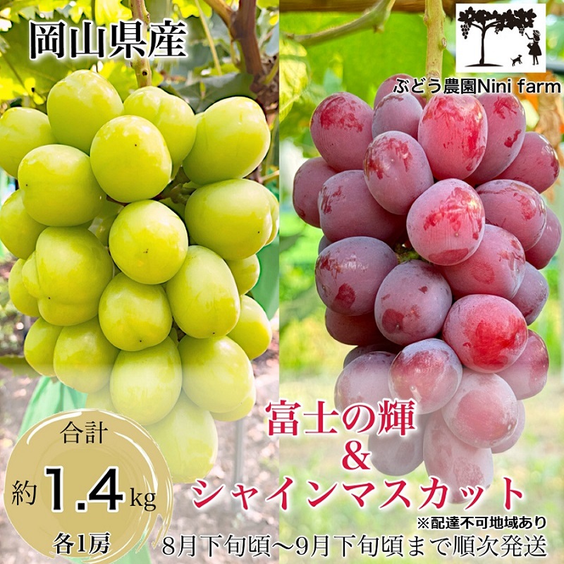 3周年記念】 Inakakara 富士の輝＆シャインマスカット 1.1~1.2kg