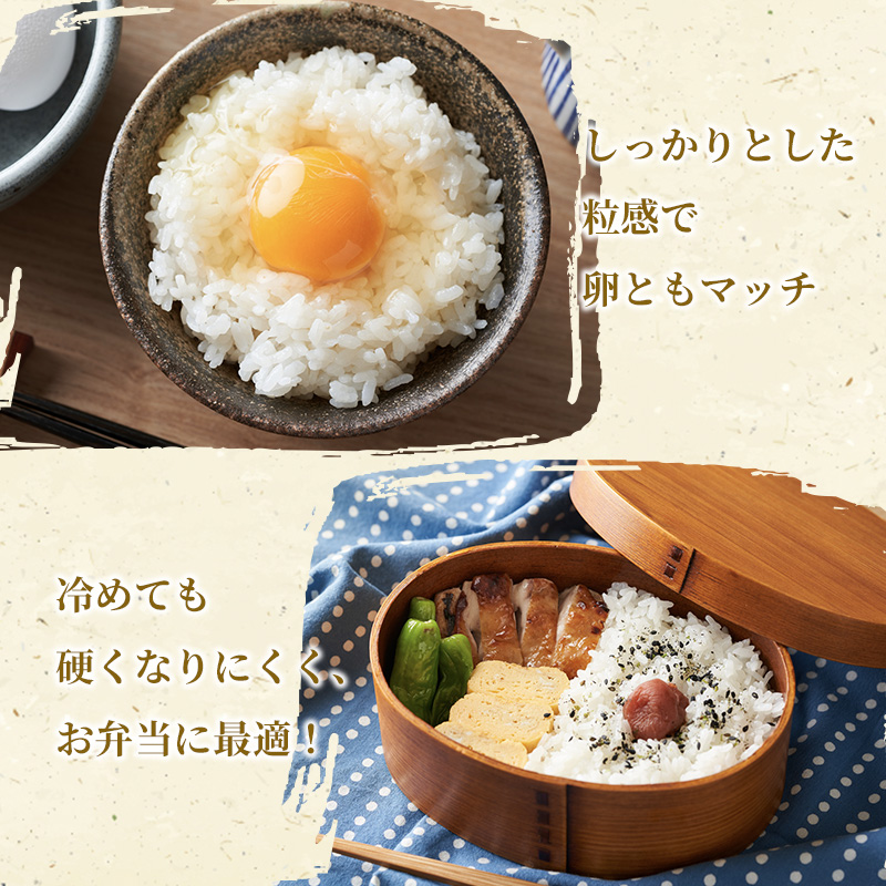 米 令和7年産 こしひかり 10kg（5kg×2袋） 2025年 広島県安芸高田市産 白米 お米 コシヒカリ