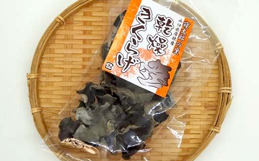 乾燥きくらげ 20g×5パック 100g 小分け 使いやすい きくらげ 乾燥 小分け 乾物 保存食 低カロリー 料理 ご当地 グルメ 食品 山口県 山陽小野田 F6L-650