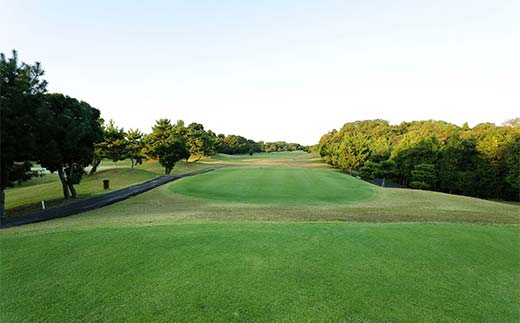 ＜厚狭ゴルフ倶楽部＞ゴルフ場利用券 30枚 ゴルフ ゴルフ場 利用券 チケット ゴルフプレー 厚狭ゴルフ倶楽部 F6L-577 30枚