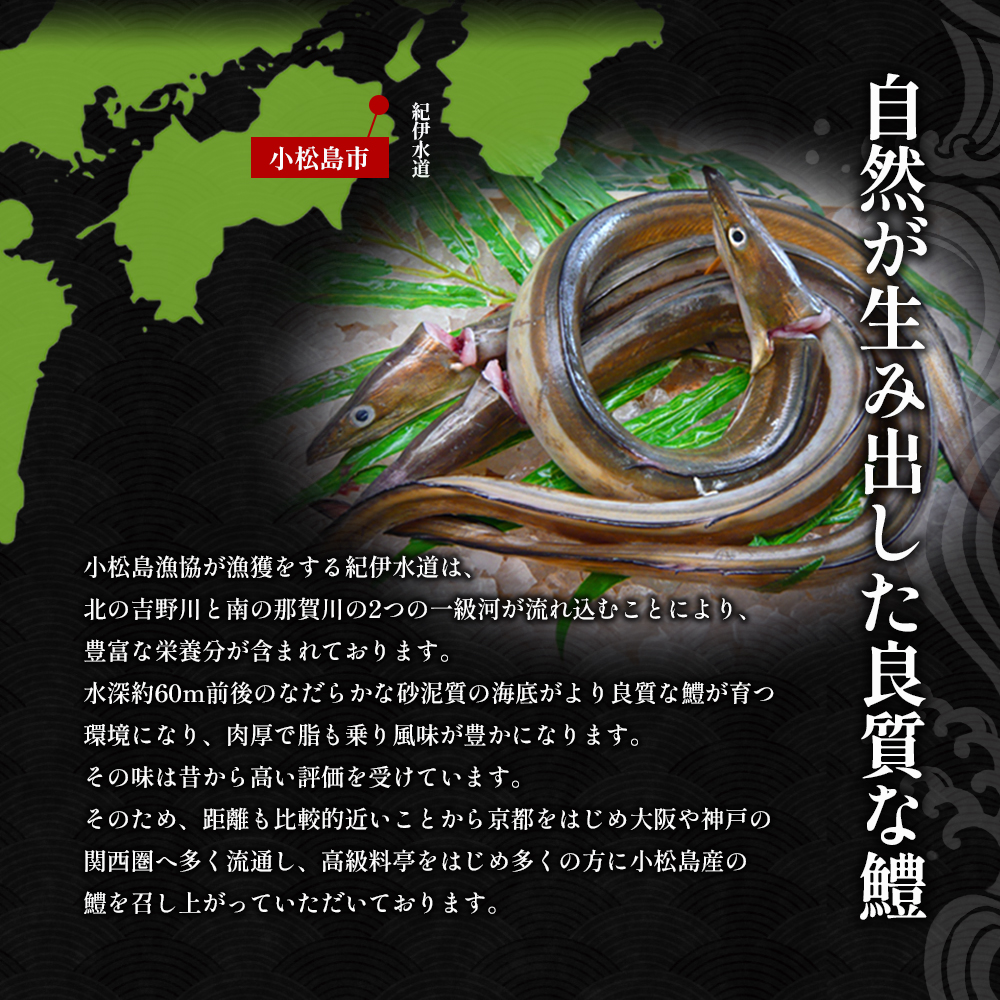 鱧 ハモ しゃぶしゃぶ 天ぷら セット 新鮮 産地 直送 高級 料亭 活け 冷凍 国産 魚介 海鮮 おかず 料理 電子レンジ 調理