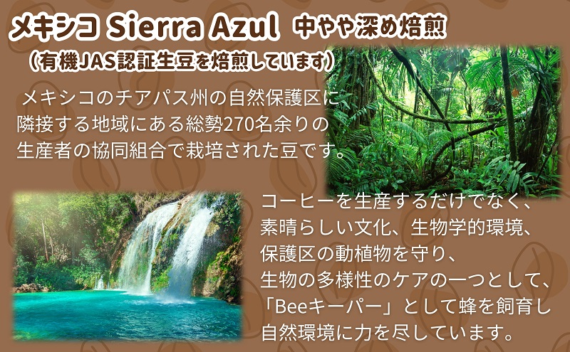 50度お湯洗い焙煎豆　メキシコ Sierra Azul 中やや深め焙煎