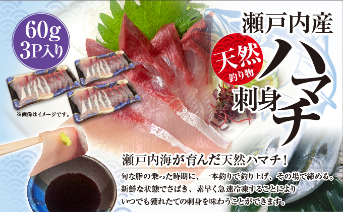 【豪華海鮮詰め合わせ】ハマチ・真鯛・さわらたたき・西京漬け・ハマチカマセット【贅沢5種×合計12パック】新鮮 刺身 食べ比べ 魚 一本釣り 海産物 海の幸 魚介 魚介類 真鯛 ハマチ 惣菜 おかず 朝ごはん 朝食 冷凍 冷凍配送 香川県 香川 丸亀