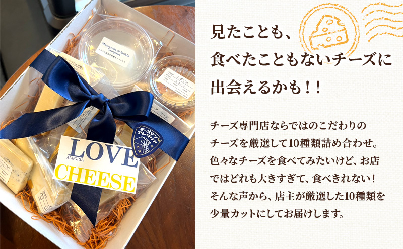 【ワイン好き必見！】チーズテン アレグリア おすすめチーズ詰め合わせ10種 チーズ専門店 食べ頃チーズ セット 香川県 丸亀市