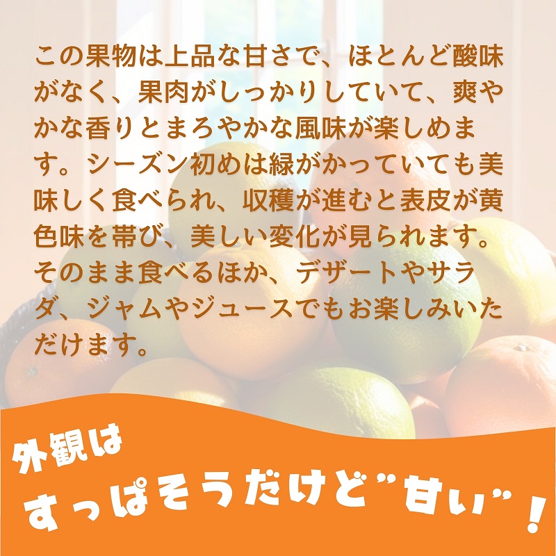 スイートスプリング 約5kg 果物類 みかん 柑橘類 フルーツ