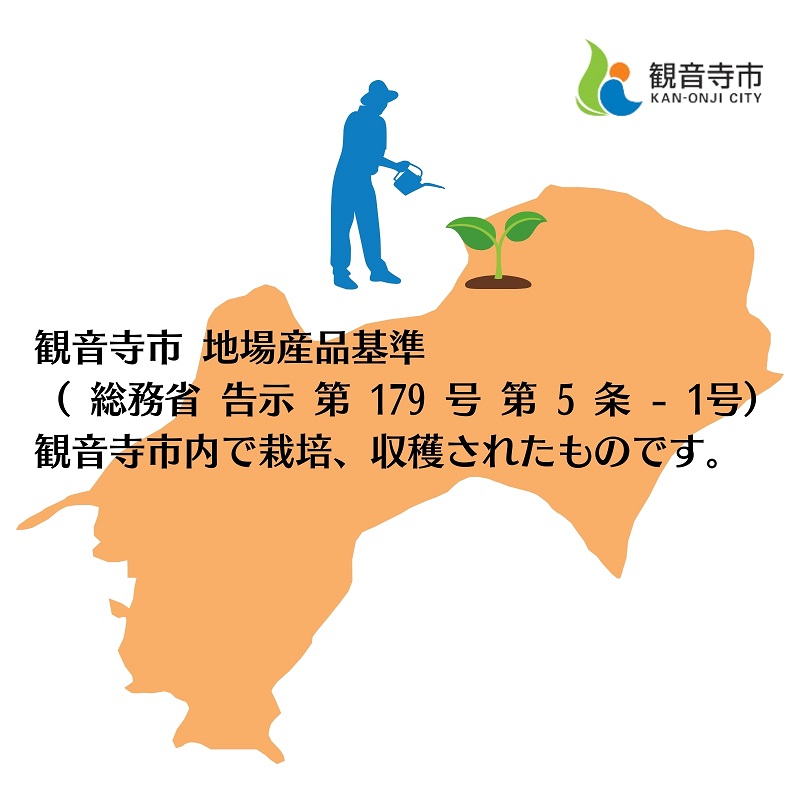 スイートスプリング 約5kg 果物類 みかん 柑橘類 フルーツ