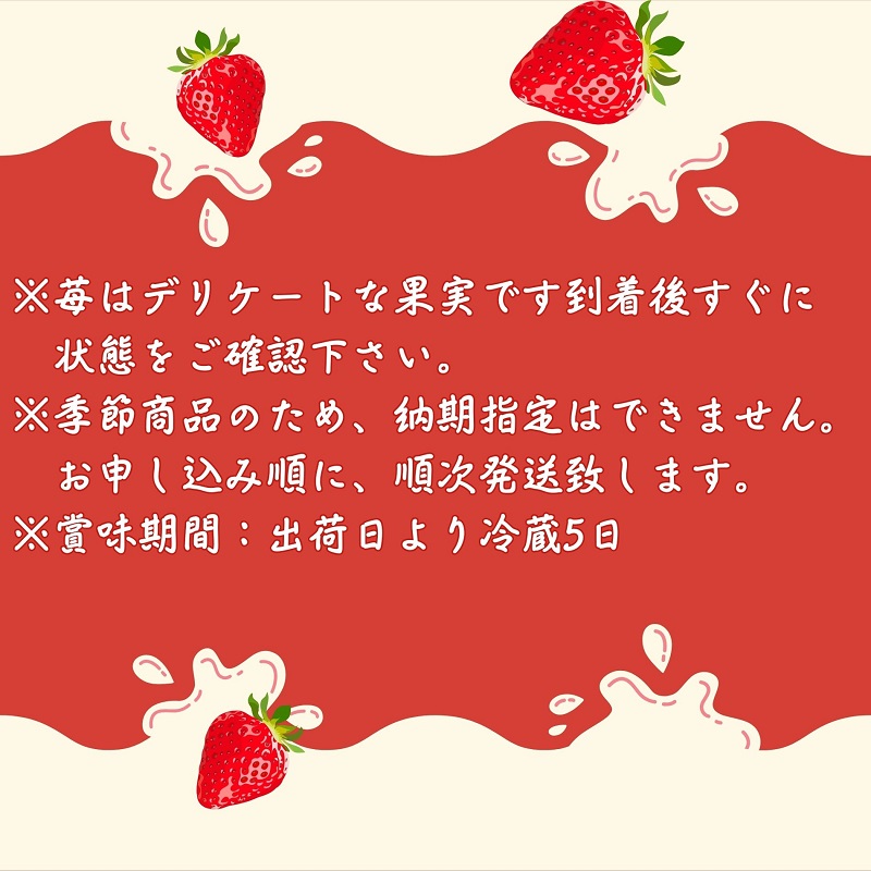 【2月より発送開始】いちご「さぬきひめ」大粒 約1kg 【配送不可エリア】北海道、 沖縄県、離島エリア 果物類 苺 イチゴ フルーツ 4パック