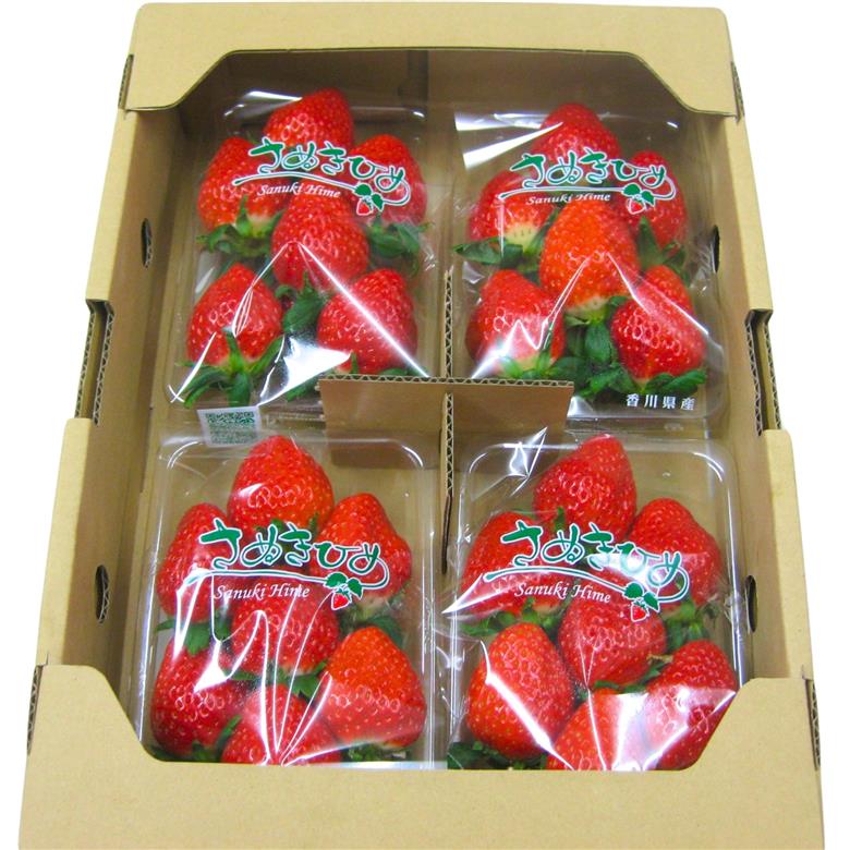 【2月より発送開始】いちご「さぬきひめ」大粒 約1kg 【配送不可エリア】北海道、 沖縄県、離島エリア 果物類 苺 イチゴ フルーツ 4パック