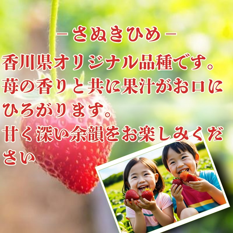 【2月より発送開始】いちご「さぬきひめ」約2kg　【配送不可エリア】北海道、沖縄県、離島エリア 果物類／いちご／苺／イチゴ／フルーツ