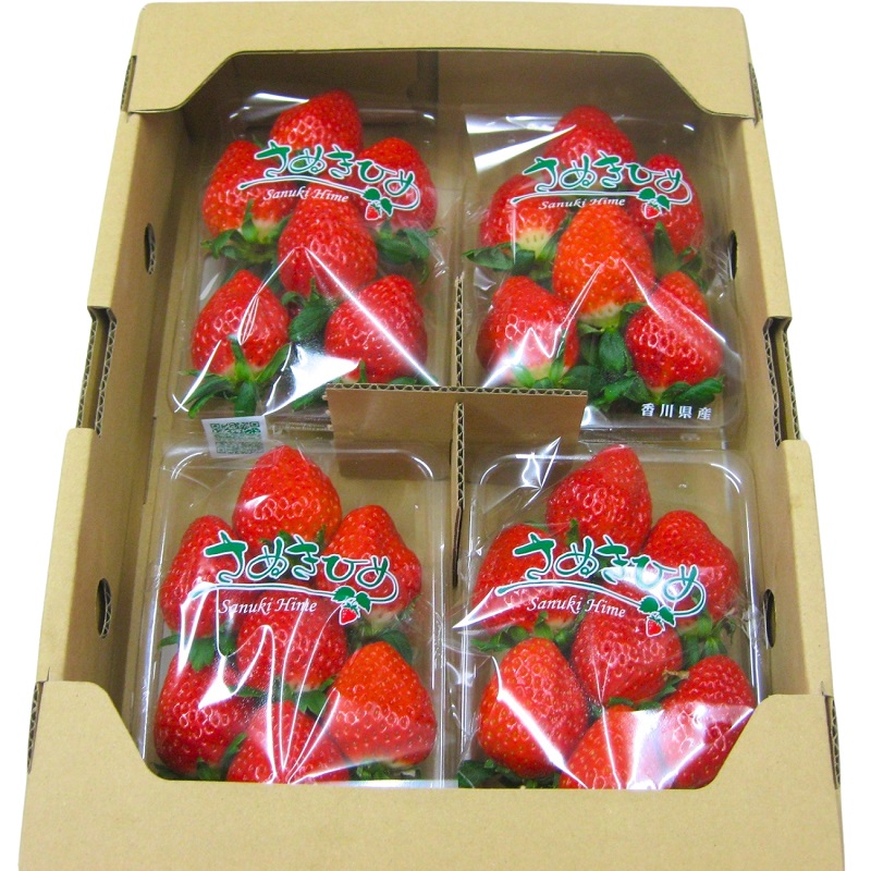【2月より発送開始】いちご「さぬきひめ」約2kg　【配送不可エリア】北海道、沖縄県、離島エリア 果物類／いちご／苺／イチゴ／フルーツ