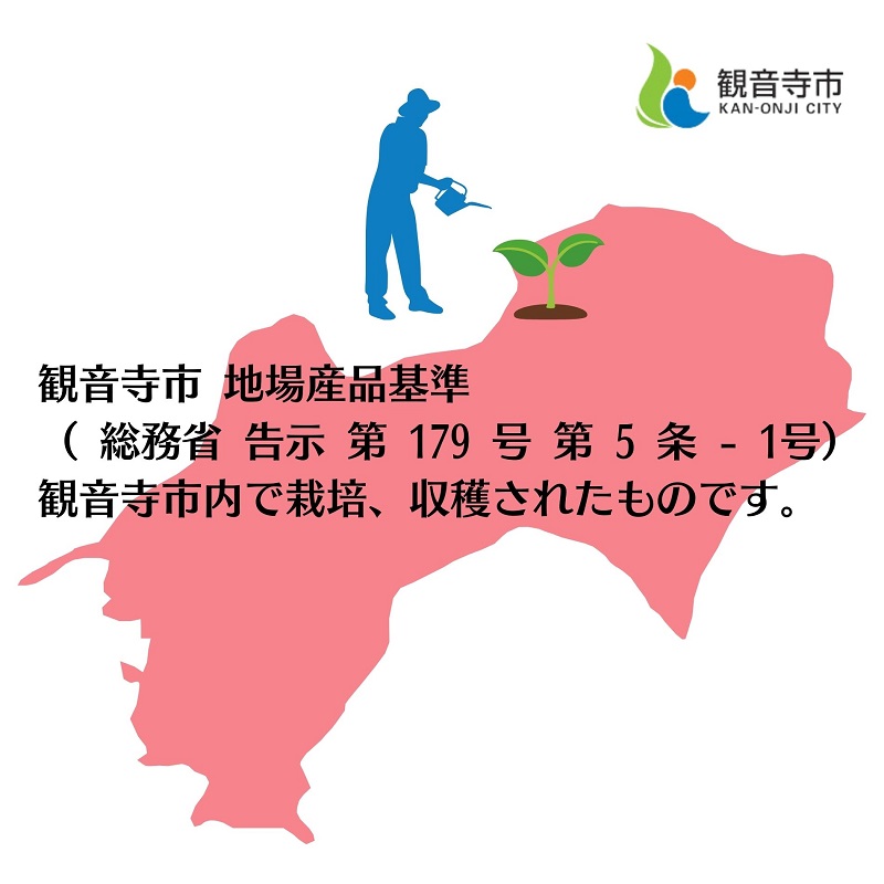 【2月より発送開始】いちご「さぬきひめ」約2kg　【配送不可エリア】北海道、沖縄県、離島エリア 果物類／いちご／苺／イチゴ／フルーツ