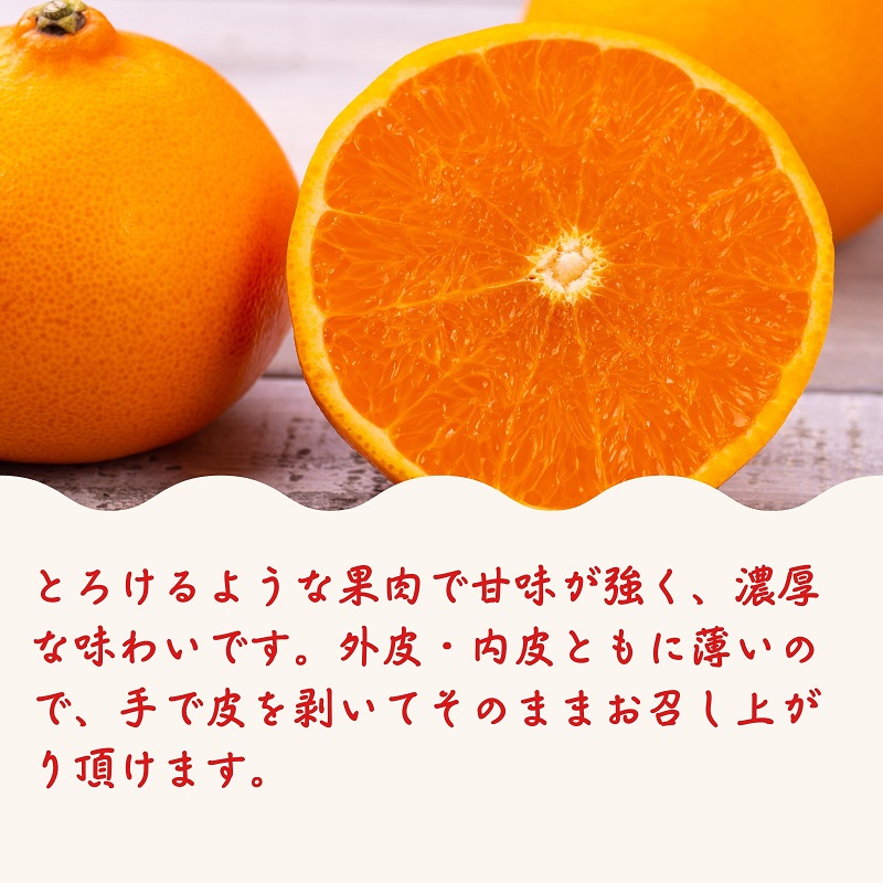 《とろける美味》 せとか 約3kg 甘い みかん （ お取り寄せ おすすめ 美味しい せとかみかん せとかふるさと納税 季節限定 柑橘 蜜柑 かんきつ フルーツ 青果 果物 くだもの 贈り物 特産品 ） 香川県観音寺市