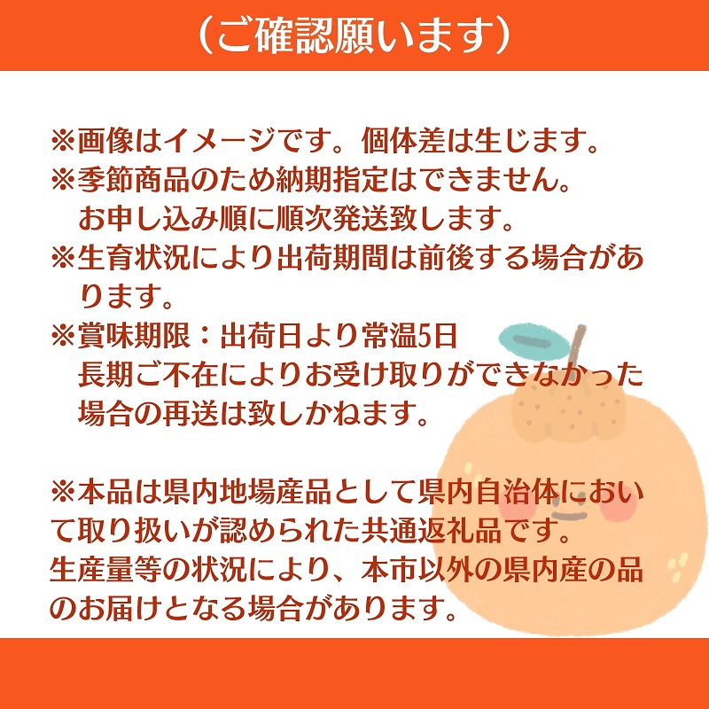 不知火（しらぬひ）約3kg 果物類 みかん 柑橘類 デコポン フルーツ
