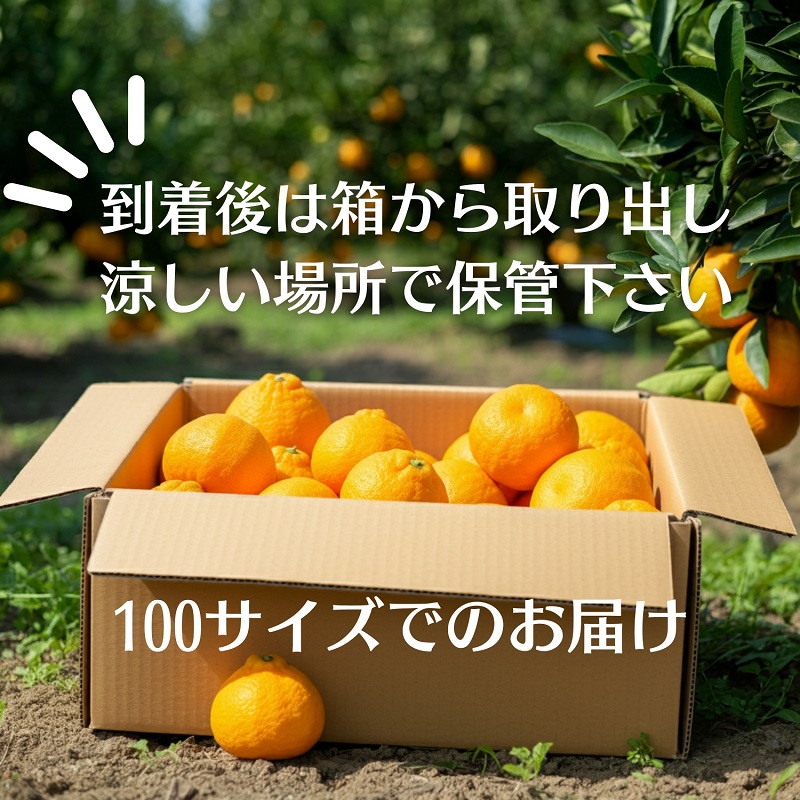 不知火（しらぬひ）約3kg 果物類 みかん 柑橘類 デコポン フルーツ