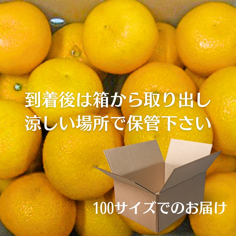 八朔　約10kg 果物類 みかん 柑橘類 フルーツ